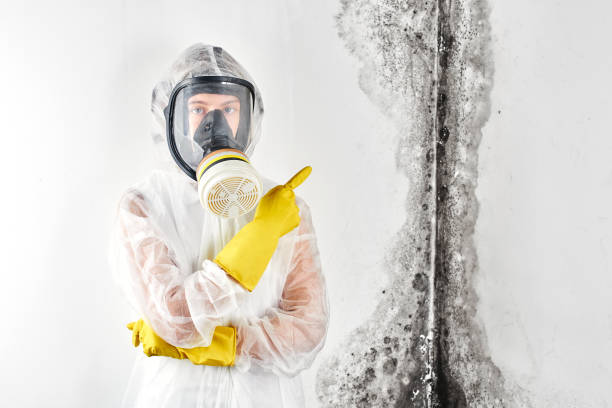 Best Attic Mold Removal  in Oatfield, OR