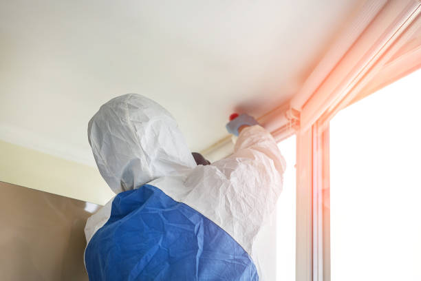 Best Basement Mold Removal  in Oatfield, OR