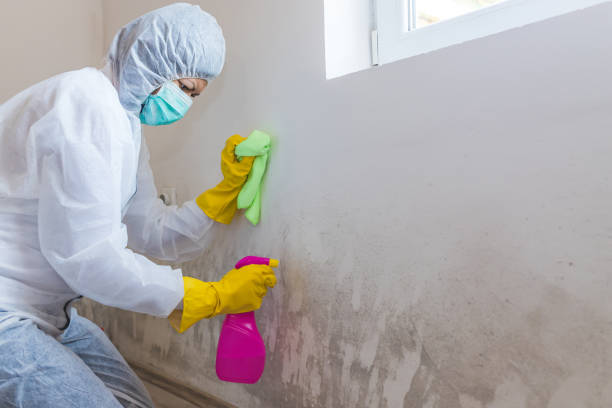 Best Emergency Mold Remediation  in Oatfield, OR