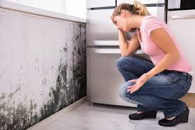 Best Residential Mold Inspection & Testing  in Oatfield, OR